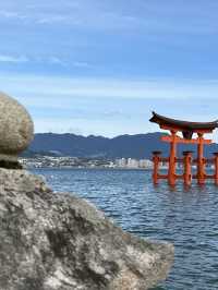 神聖的海上之旅⛩️⛩️🌊 嚴島神社