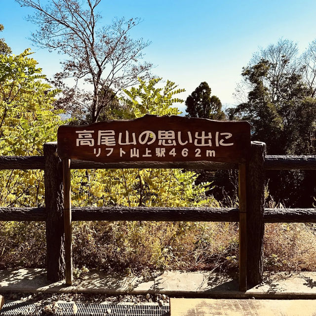 東京紅葉實況