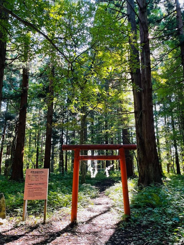 【山形県/出羽三山神社】2023年トライしてみてよかった！石段詣