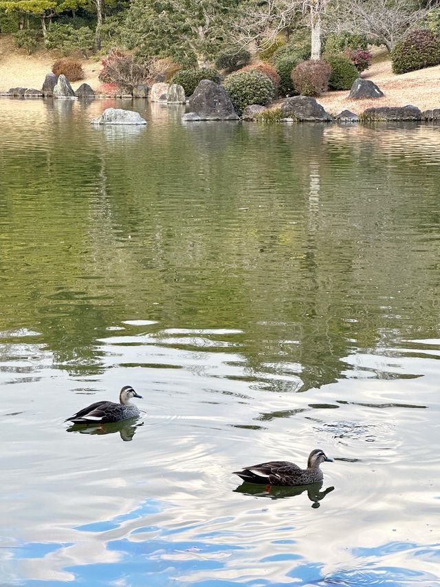 日本大阪萬博紀念公園🇯🇵