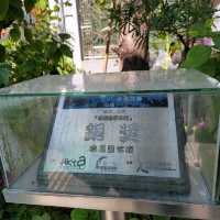 過年必到許願樹前拋寶牒🧧🎋祝大家萬事勝意🎊