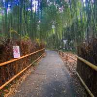 Kyoto