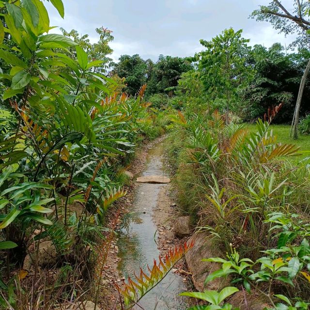 Calming visit to Sembawang Hot Springs 