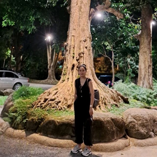 ข้าวเม่า- ข้าวฟ่าง  ป่าในจินตนาการ  เชียงใหม่