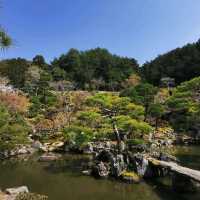 pretty Kyoto temple