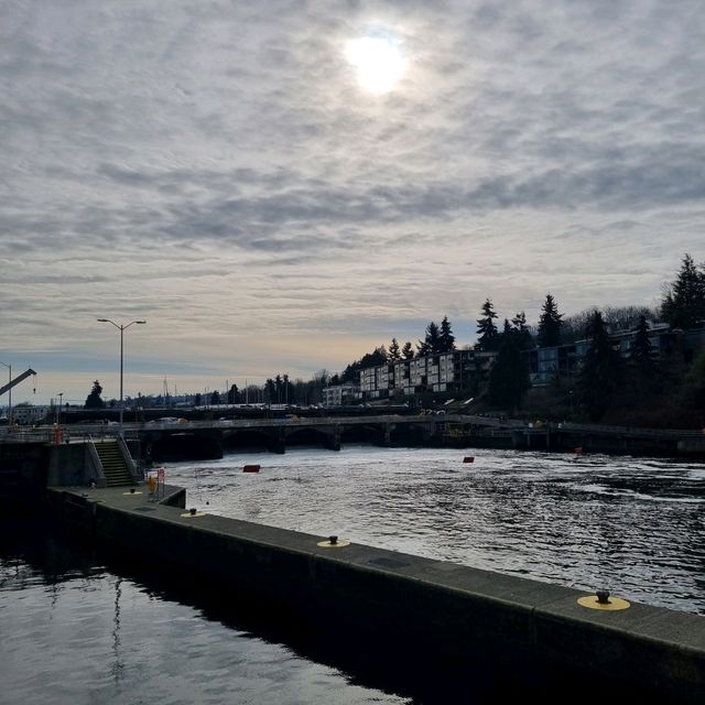 The Famous Ballard Locks, Seattle