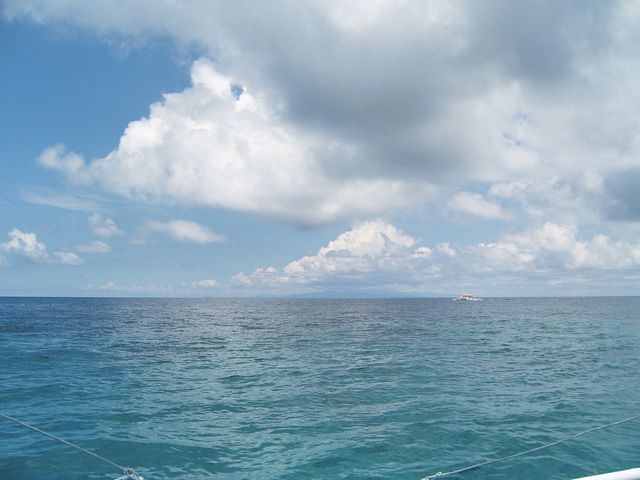 천혜자연환경을 가진 보홀 구석구석 몰아보기 코스🏝️