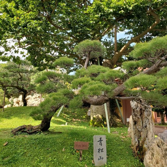 南蓮園池
