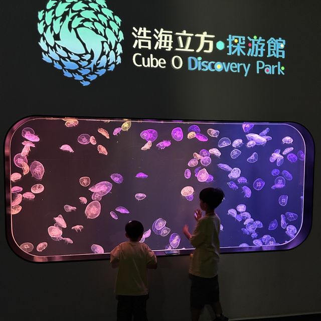 【 探索水母變化萬千的世界 】 