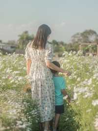 เดินเล่นฟีลเจ้าหญิงในสวนดอกไม้ I love flower farm