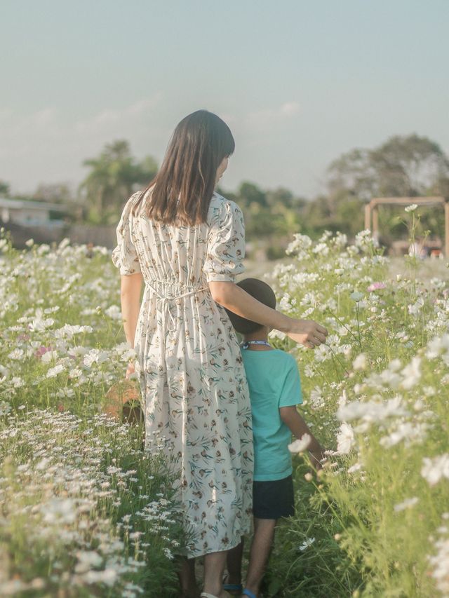 เดินเล่นฟีลเจ้าหญิงในสวนดอกไม้ I love flower farm