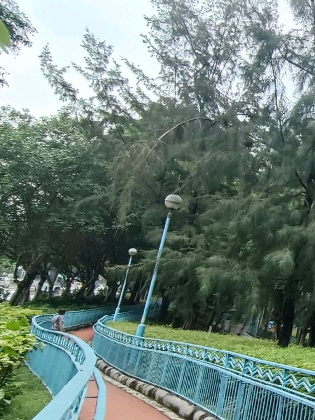與你同行【卑路乍灣公園】,心靈來得平静,安穩!