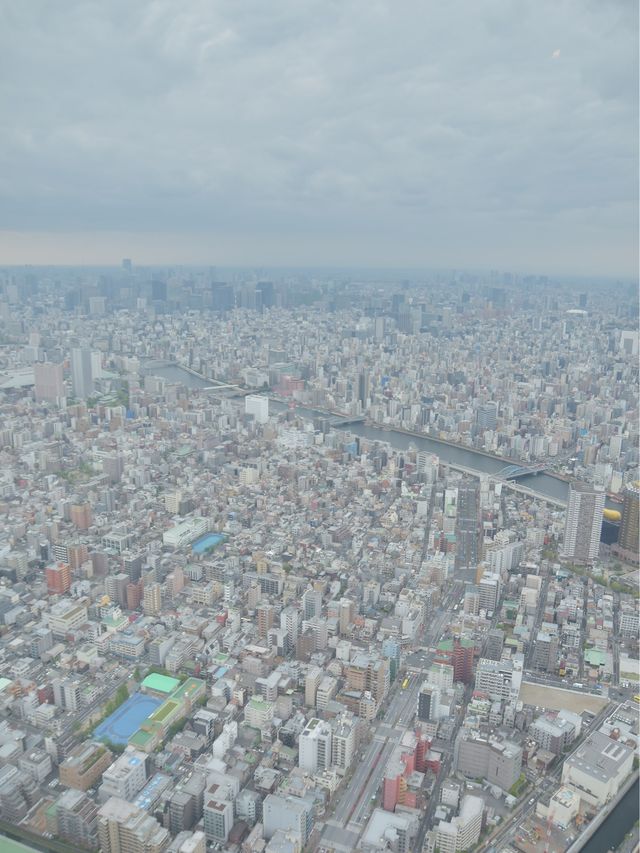 東京観光スポット東京スカイツリー
