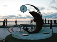 北海道　北海道観光　人生で一度は見たいノシャップ岬の夕日！