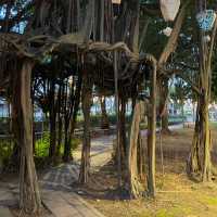 Exploring Sia Boey's Treasure Path