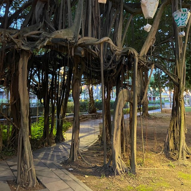 Exploring Sia Boey's Treasure Path