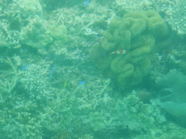 【沖縄県石垣島】川平湾・御神崎