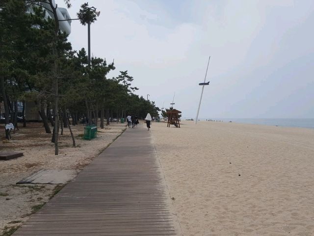 Anmok Beach, the style in Gangneung