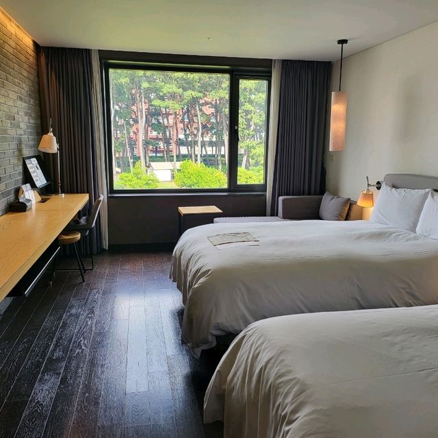 제주 호캉스 🏨 메종 글래드 제주 - 수영장 , 디럭스 트윈룸 , 베이커리 