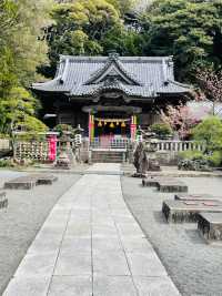 【静岡県/伊古奈比咩命神社】伊豆最古の神社と白浜海岸
