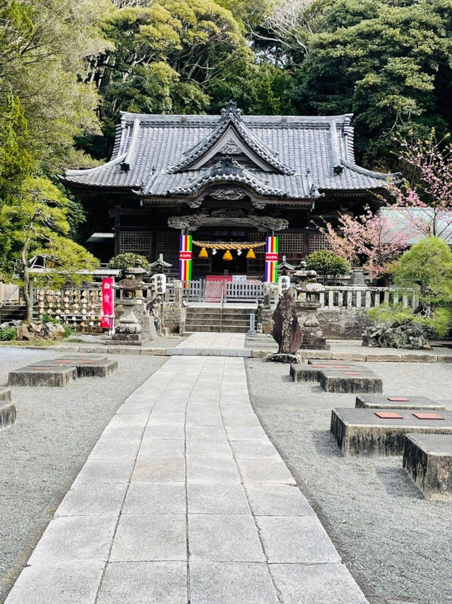 【静岡県/伊古奈比咩命神社】伊豆最古の神社と白浜海岸