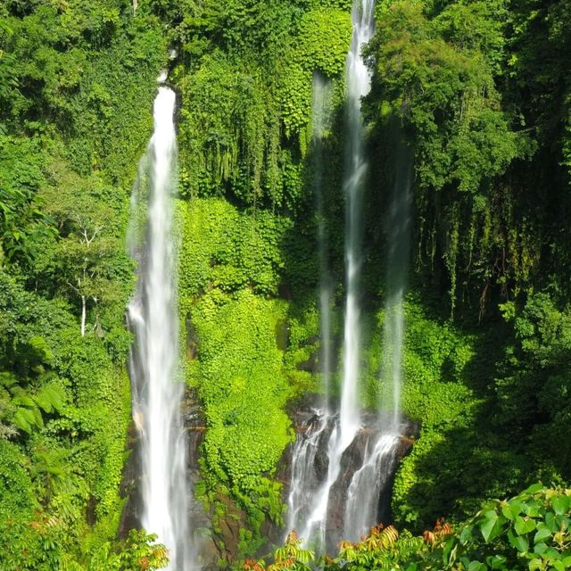 Waterfall in Bali 