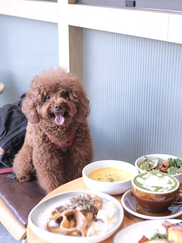 北角社區清新咖啡店