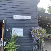 MUST Visit 🇬🇧 Hitchin Lavender Farm