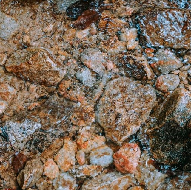 เกาะช้างไม่ได้มีดีแค่ทะเล 🏞🌿