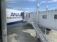東京　東京観光　羽田ー新千歳　ANA便でフライトを満喫！