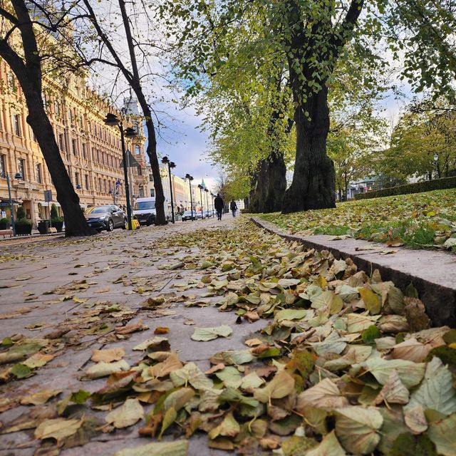 Wonderful day in Helsinki Finland