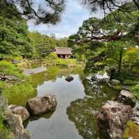 苔寺🕉充滿意境的「西芳寺」