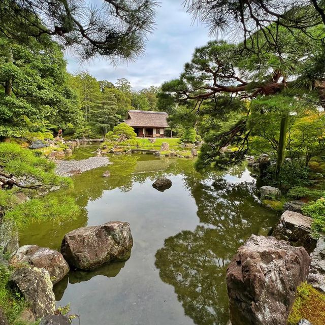 苔寺🕉充滿意境的「西芳寺」