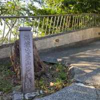 烘爐地登山步道⛰️