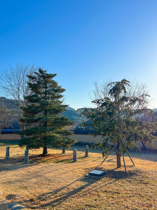 안동여행 필수코스, 안동하회마을