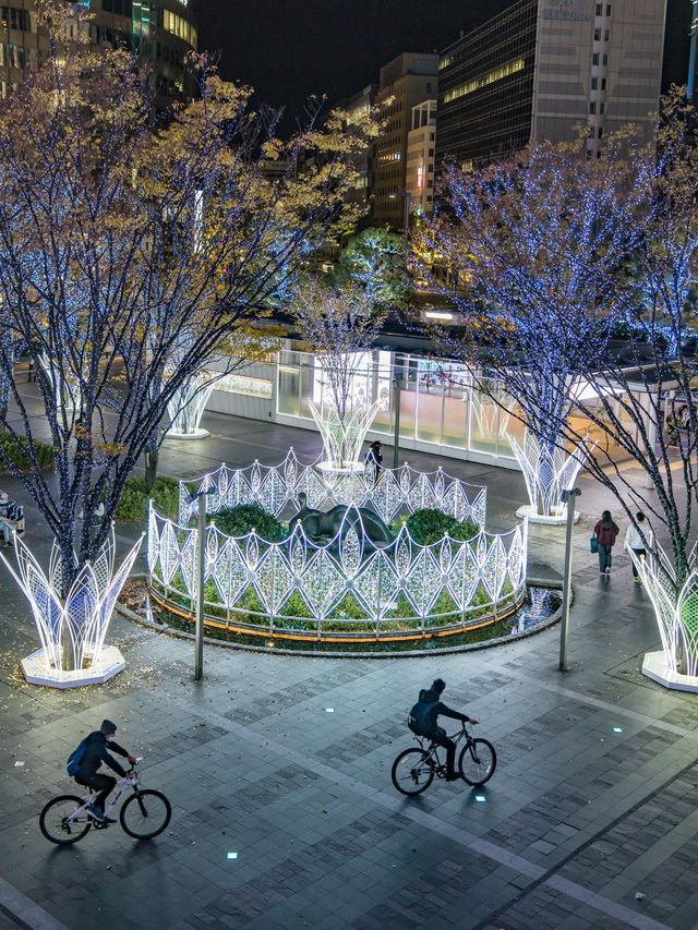 Winter Illumination สถานี Hakata จัดไฟปีใหม่แล้ว🎄