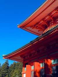 高野山：霊と自然の調和 🏞️🏯