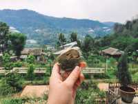 โมริ เนเชอรัล ฟาร์ม คาเฟ่และที่พักสวยสไตล์ญี่ปุ่น