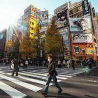 Akihabara Electric Town 🇯🇵