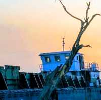 Sewri Mangrove Park