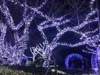 Enoshima Candle Light