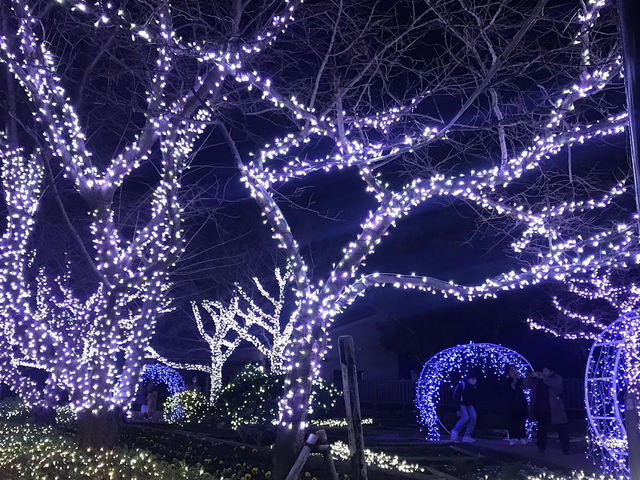 Enoshima Candle Light