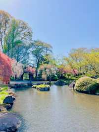 【長野】お城とサクラの絶景穴場スポット