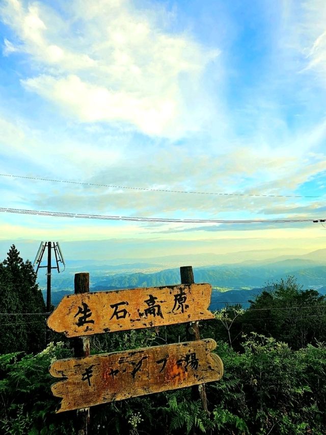 【和歌山/絶景】すすきと朝日🌄のコラボ🫧壮大な世界を1人占め✨秋はすすきが綺麗です‼️