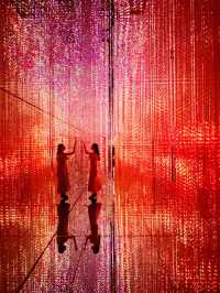 【麻布台】魔法のアート空間💫麻布台ヒルズに誕生したteamLab Borderlessで夢の世界へ