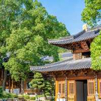 農禪寺！靜謐氣息世外桃源