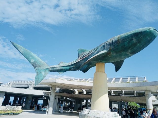 Okinawa Churaumi Aquarium 