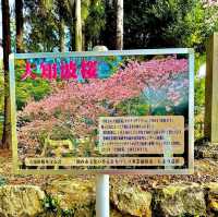大神山八幡宮