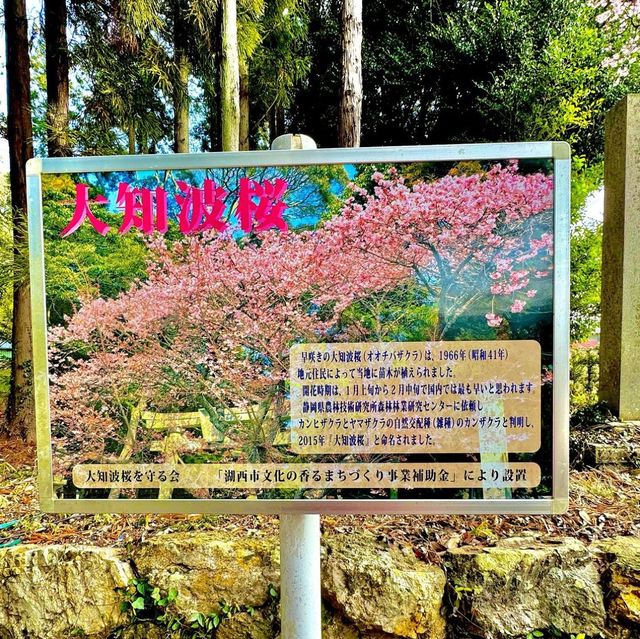 大神山八幡宮