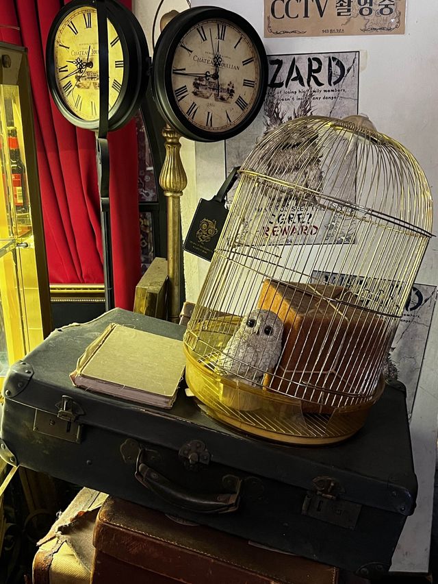 🫶🏻홍대 해리포터카페 '943킹스크로스'🎪ೆ➴